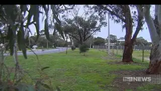 Pet Cemetery | 9 News Adelaide