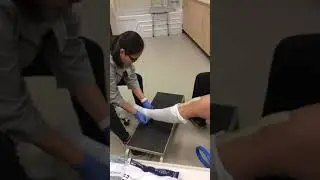 Total knee dressing change and ted hose replacement