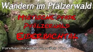 Eiderbachtal | Eins der schönsten Täler im Pfälzerwald | Annweiler Forsthaus | Wandern | Pfalz | DE