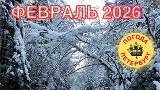2026.02.02. Погода Петербург. 08:51. -9°. Не делайте выводы на собственном мнении.