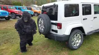 2018 Jeep Wrangler JK Unlimited | Nemer Jeep of Saratoga | 18065S