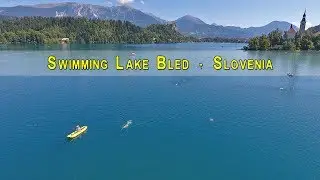 Swimming Lake Bled Holiday