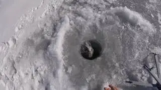 Ice fishing Colorado (Evergreen Lake) 12-8-18