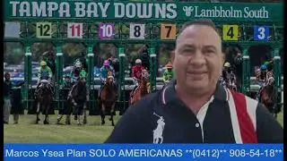 #miercoles 31#diciembre #tampabay #venezuela #gulfstreampark #horse #caballos #americanas 