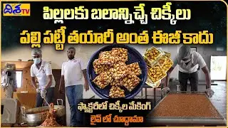 PEANUT CHIKKI MAKING Visuals | Amazing Food Processing Live Peanut Jaggery Bar Recipe | Disha TV