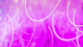 without text background free 4K