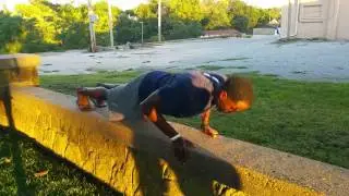 22 Day Push Up Challenge - Day 14 ☆Will and Dee's Wall☆