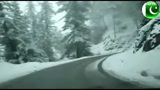 Snow 🌨️🌨️ in Shangla Top
