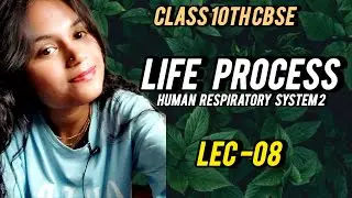 Life Processes–Respiration |Human respiratory System - part 2|Lec8 |Janhvi Salunke |Class10 Biology|