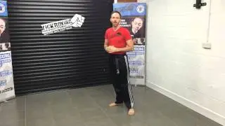 Spinning Hook Kick