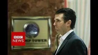US House Speaker: Trump Jr should testify in Congress - BBC News