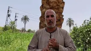 شروط تقنين أراضي أملاك الدولة محافظة قنا