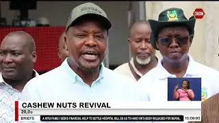 Kilifi County develops high yielding and disease tolerant cashew variety