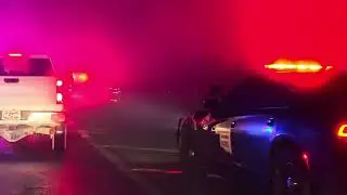 Multi-Vehicle Crash Aftermath in Dense Fog | Highway 412