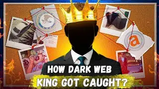 How One Mistake Trapped the Dark Web King