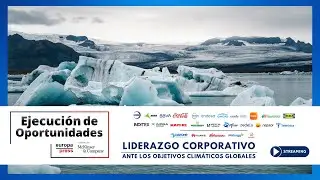 Ejecución de Oportunidades 