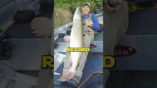 HE CAUGHT THE WORLD RECORD! #pikefishing #pike #flyfishing