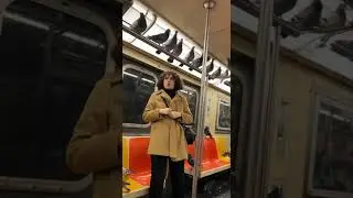 &ldquo;Subway Full of Pigeons?! 🚇🐦 Realistic AI Comedy Short