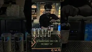 SCHWARZWAD DAV GIN MONKEY 47 #gin #bar #fooryou #instagram #facebook #fooryou