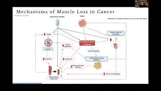 IEPRS Conference 21 | Role of Resistance Training in Cancer Care: Rationale Evidence and  Directions