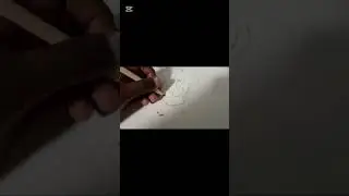 Drawing Simba!