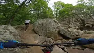MILLER’S GOAT AT MOUNT NEBO IN ARKANSAS