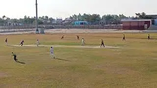 kalorkot