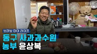 Donggu Apple Orchard Farmer Yoon Sang-bok [Bravo My Life] 251203
