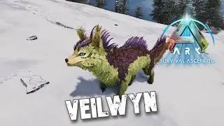 Taming A Veilwyn | Ark Survival Ascended | Ragnarok
