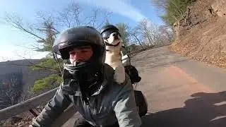 The Bike Dog Indian Head Wilderness, NY