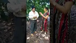 O que &eacute; salmora?
