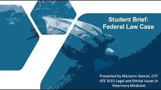 Vanciel Federal Law Case Leatherback Sea Turtles
