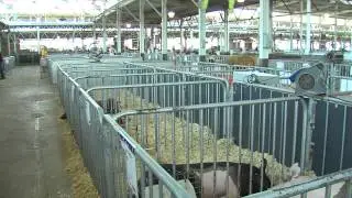 Flu prevention at the Iowa State Fair.mp4