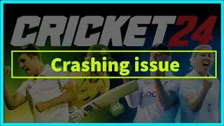 Cricket 24 Game Keeps Crashing Issue