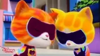 sofia cuenta su embarazo/super gatitos