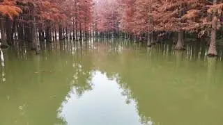 In the Middle