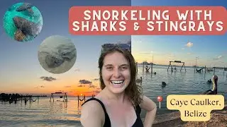 What to Do with a Short Stay in Caye Caulker, Belize
