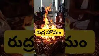 Rudra Homam ✨️ #shorts #vedic#youtube#shiva#God#Havan#Ancient #vedic