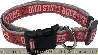 Pets First Collegiate Pet Accessories, Dog Collar, Ohio State Buckeyes, Medium