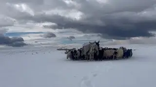 KARS  GÖÇ YOLUNDA YAĞAN KAR ❄️