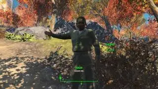 Fallout 4 on the Intel HD 520 (low settings) with updated drivers