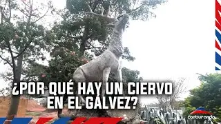 La historia del ciervo del autódromo Oscar y Juan Gálvez de Buenos Aires