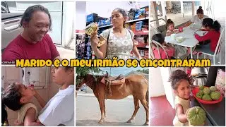 VLOG: Dia de ir no mercado. Colheita de pinha. Meus cuidados com às crianças. Esses cavalos são 😍