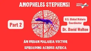 US Global Global Malaria Coordinator on the spread of Anopheles Stephensi