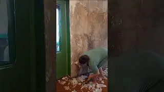 Renovation. Season 3 in full swing
