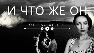 И что же он от ВАС ХОЧЕТ 