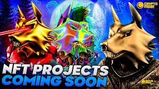 NFT Projects Coming Soon | Undervalued NFTs | Wolf Of Sol