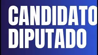 CANDIDATO DIPUTADO STEPHAN SCHUBERT