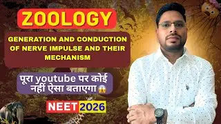 😱 Generation & Conduction of Nerve Impulse aaj tak kisi ne aise nahi padhaya! | Neet 2026 #neet