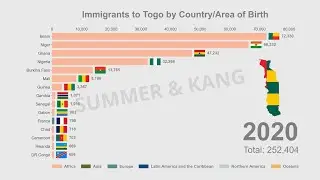 Top 15 Immigrants to Togo | 1990-2020 | Bar Chart Race | Data Visualisation